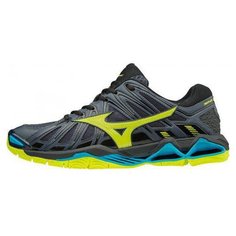 Кроссовки Mizuno Wave Tornado X2