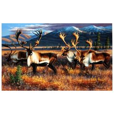 Hobbart Картина по номерам