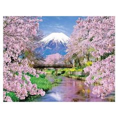 Paintboy Картина по номерам