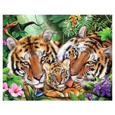 Paintboy Картина по номерам