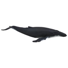 Фигурка Mojo Sealife Горбатый