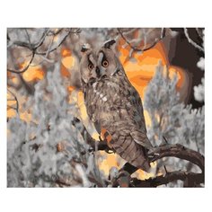 Molly Картина по номерам Зоркий