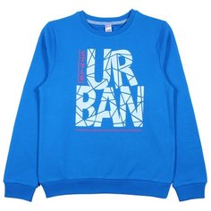 Свитшот cherubino