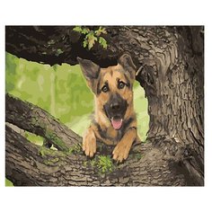 Molly Картина по номерам Верный