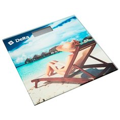 Весы DELTA D-9305