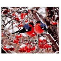 Molly Картина по номерам