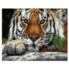 Paintboy Картина по номерам