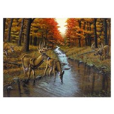 Royal & Langnickel Раскраска по