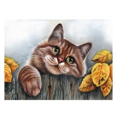 Molly Картина по номерам Мяу