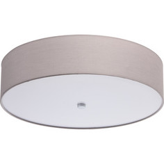 Потолочный светодиодный светильник MW-Light 453011501