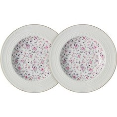 Набор из 2-х суповых тарелок Colombo Стиль (C2-SP_2-6402AL)