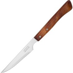 Нож столовый для стейка ARCOS Steak Knives (371501)