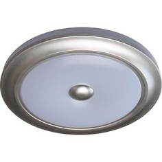 Потолочный светодиодный светильник с пультом MW-Light 688010401