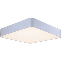 Потолочный светодиодный светильник ST-Luce SL955.552.01