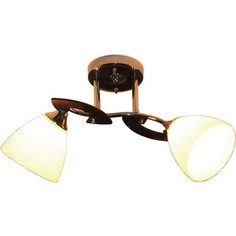Спот IDLamp 279/2PF-Blackchrome