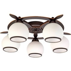 Потолочная люстра Omnilux OML-50507-05