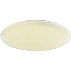 Потолочный светодиодный светильник F-Promo 2319-10C