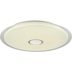 Потолочный светодиодный светильник F-Promo 2318-7C