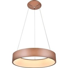 Подвесной светодиодный светильник Kink Light 08506,33