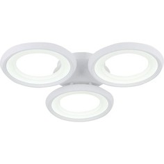 Потолочный светодиодный светильник Freya FR6010CL-L51W
