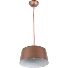 Подвесной светильник Arti Lampadari Tempo E 1.3.P1 BR