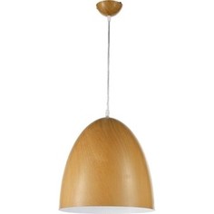 Подвесной светильник Arti Lampadari Bruno E 1.3.P1 BR