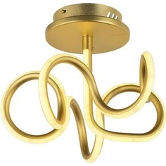 Потолочный светодиодный светильник Arti Lampadari Angelo L 1.2.35.06 G