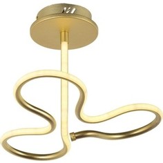 Потолочный светодиодный светильник Arti Lampadari Angelo L 1.2.35.03 G