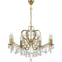 Подвесная люстра Arti Lampadari Pisani E 1.1.8.601 G