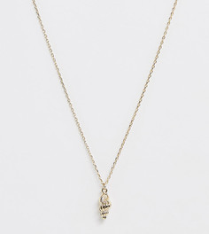 Позолоченное ожерелье с подвеской в виде ракушки Orelia - Золотой