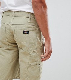 Светло-бежевые шорты Dickies - Бежевый