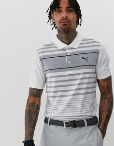 Белое поло в полоску Puma Golf Spotlight - Белый