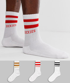 Набор из 3 пар носков Dickies Newcomb - Белый