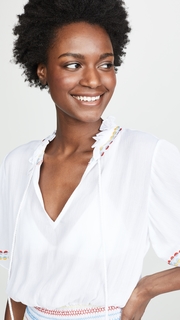 Shoshanna Multi Dot Embroidery Dress