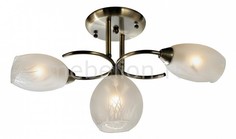 Люстра на штанге 150-507-03 Velante