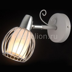 Бра OSLO 81041-1W STAIN GRAY Natali Kovaltseva