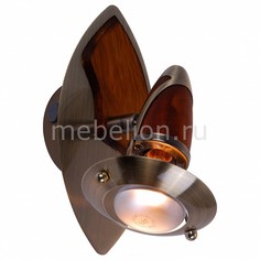 Бра Earl 5435-1 Globo