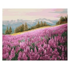 Paintboy Картина по номерам