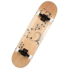 Скейтборд Playshion FS-WS002-9