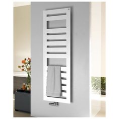 Водяной полотенцесушитель Zehnder