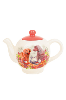 Чайник заварочный Polystar Collection