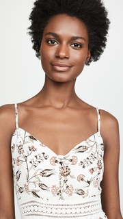 BB Dakota Jack By BB Dakota What Grows Around Dress