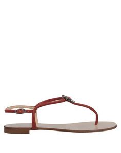 Вьетнамки Giuseppe Zanotti