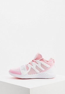 Кроссовки Plein Sport