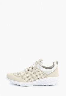 Кроссовки Jack Wolfskin