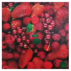 Бумага folia 505x70 см 1 лист