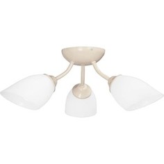 Потолочная люстра Vitaluce V3405/3PL