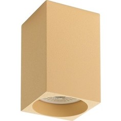 Потолочный светильник Denkirs DK2009-CO