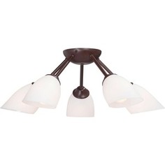 Потолочная люстра Vitaluce V3402/5PL