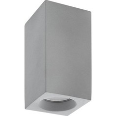 Потолочный светильник Denkirs DK5002-CE